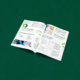 Brochure - All Pro Cleaning